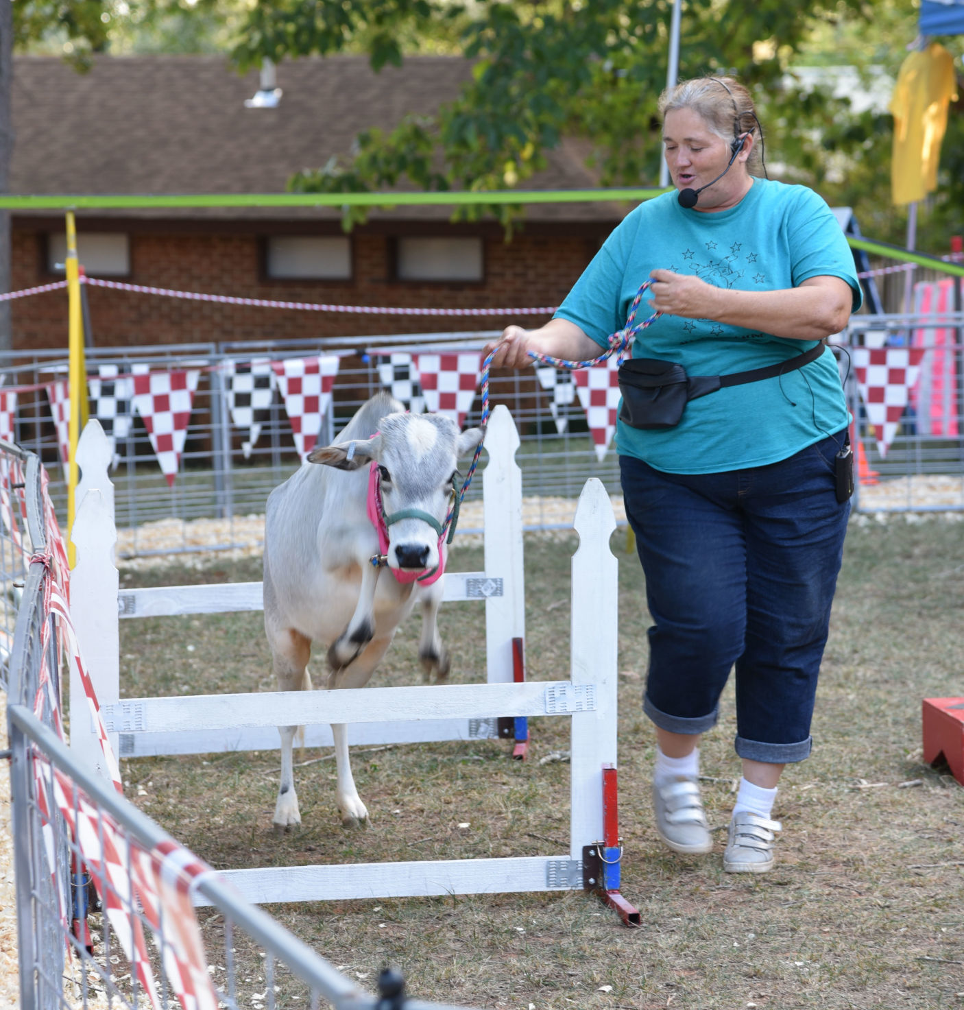 Ag Fair 2019 Barnyard Review